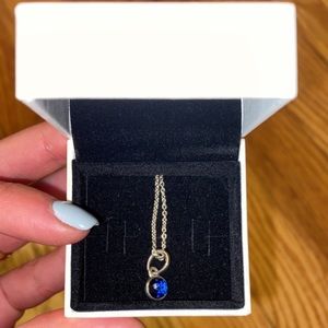 Pandora Necklace